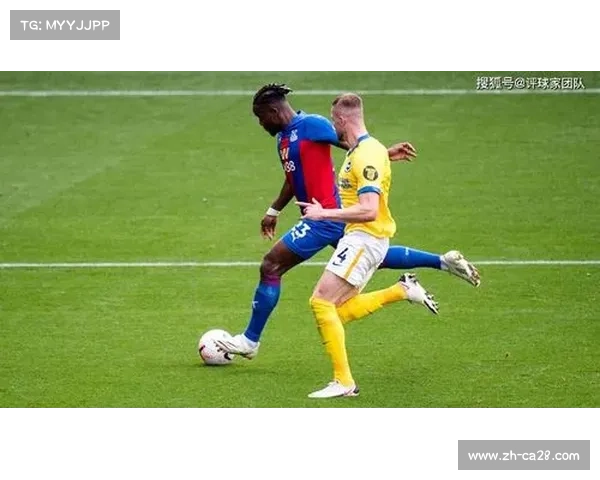 团队贡献获认可布莱顿引援模型成英超创新典范 团队贡献获认可布莱顿引援模型成英超创新典范